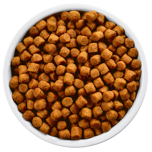 Hill´s Mobility j/d Prescription Diet