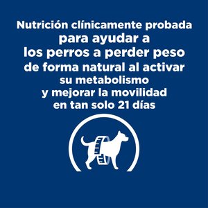 Hill´s Metabolic + Mobility Prescription Diet
